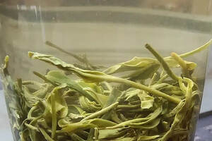 绿茶是什么样子