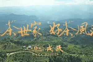 热烈祝贺博君熟茶被推评为中国茶产业T20创新模式案例