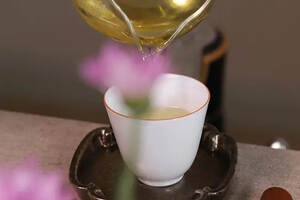 普洱茶能够越陈越香的依据和“陈化醇美”的可能性