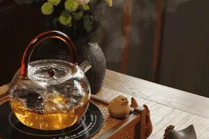 琅琊白 |源自1950米的高原古树白茶，是一种什么样的体验？