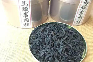 武夷肉桂是怎样一种茶