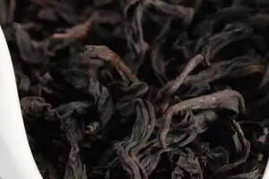 大红袍茶属于什么茶