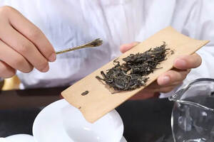普洱茶生茶和熟茶的香气类型与描述
