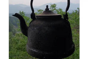 茶山监制每天吃茶8款+，救命！[无用君吃普洱茶日记]