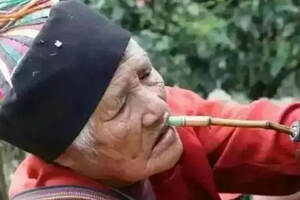 云南百岁老太太边抽烟，边采茶，刷爆了朋友圈