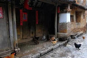 茶道在中国的历史与发展