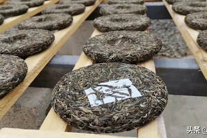 “保湿”是普洱茶存储过程中至关重要的目标
