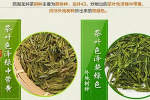 六大茶类——常见名优绿茶