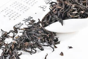 武夷岩茶品种茶传记：肉桂“肉贵”，它为什么叫肉桂