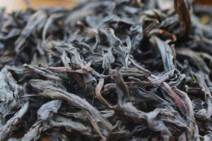树龄多老的岩茶才能称得上“老枞”？