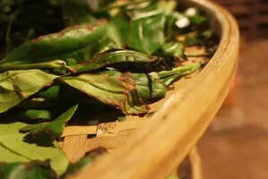 陈德华：影响武夷岩茶品质的因素和提高品质措施（下篇）