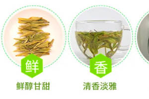 顾渚紫笋属于什么类绿茶