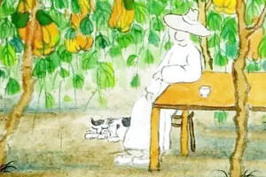 老树画画里的茶与人间烟火：我有一个小院子，安心喝茶过日子