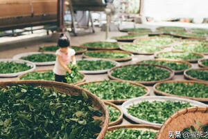 福州茶食图片
