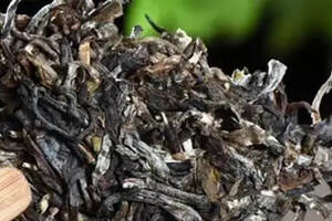如何区分普洱茶的陈化和霉化？