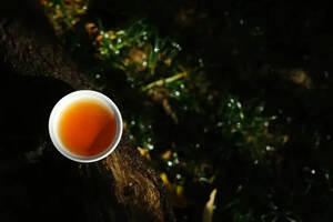 用什么样的水可以把武夷岩茶泡得更好？