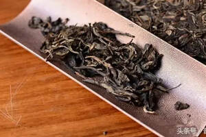 普洱茶有清肺效果吗