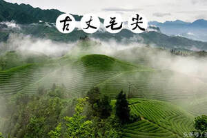 绿茶产地（5）——湖南名优绿茶