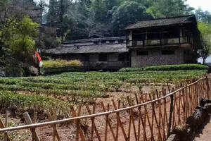 都匀毛尖茶科技创新基地建设黔南州农业科学研究院欧平勇