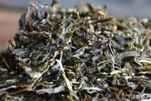 普洱紧条茶的发酵速度为什么快于泡条茶？