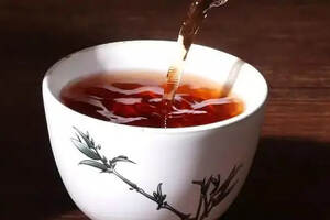 邓时海：在数百种茶中，普洱茶最能代表我国历史文化