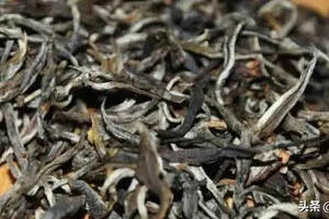 曼松普洱茶为什么越来越贵？