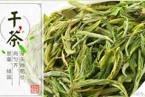 黄山老绿茶