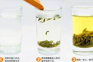 绿茶的3种冲泡方法——上投法、中投法和下投法