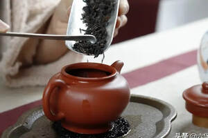 茶实验：一款茶的百种滋味，投茶量内有乾坤