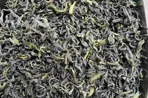 原产地茶场直销的崂山茶支持批发零售