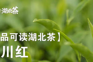 「湖北茶礼」利川红——源自世界硒都的中国待客茶