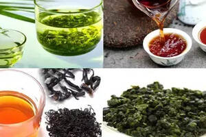 喝茶减肥？养胃？防辐射？绿茶、乌龙茶、红茶和普洱茶功效大PK