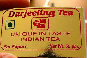 印度奶茶太硬核，加香料、提神、耐饿，国人感慨：把茶玩坏了
