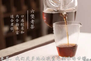 「茶品鉴」小年煮茶佳选：2008年陈香六堡茶