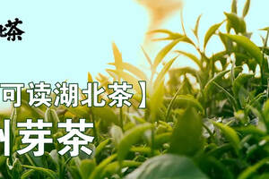 「湖北茶礼」随州芽茶——“茶祖”神农故里的春色