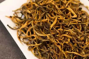 金椿芽茶叶是什么茶