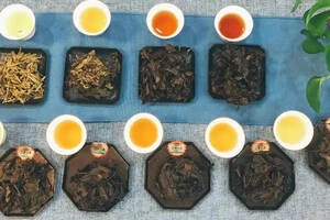 如何用茶底辨别白茶的好坏？什么是白茶鉴定“五大专家”？