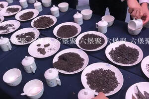 中国（广西）六堡茶斗茶大会精彩回顾