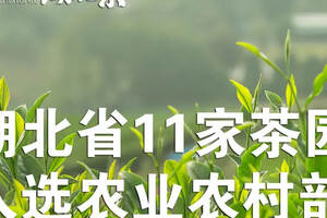 「重磅」湖北省11家涉茶园区（基地）入选农业农村部重要名单