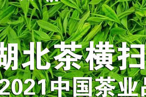 「一图即知」湖北茶横扫《2021中国茶业品牌盛典》各榜单
