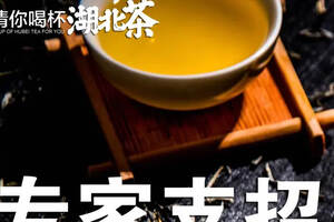 「专家支招」出口量仅占产量5%，湖北茶如何更高质量走出去？