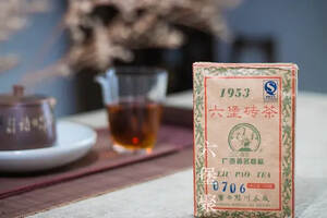 目前最值得收藏的三鹤六堡茶