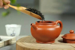 郑莲英茶文化：茶友们，你会正确投茶吗？