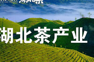 创新中求变，湖北茶产业正走出一条现代化发展之路
