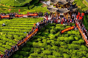 “国际魅力茶乡”湖北宣恩，全产业链做大做强茶产业