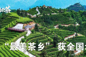 “最美茶乡”湖北邓村，获全国示范