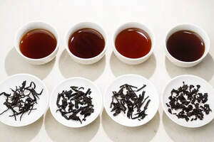很多人也许知道喝懂茶很重要，但你知道：懂茶的人有什么特点吗？