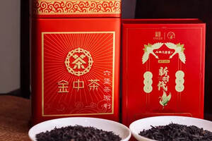 六堡老茶评测：三鹤“新时代”& 中茶“金中茶”