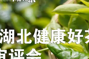 今日，“湖北健康好茶礼”审评会在华农举行