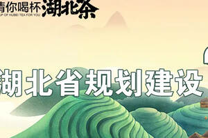 未来三年，湖北省规划建设供销“大茶商”